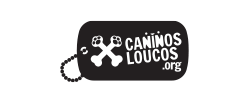 Caninos Loucos